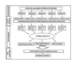 Methods for Diagnosing and Managing Treatment of Atopic Dermatitis