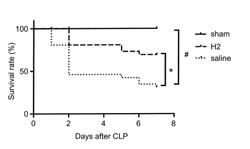 COMPOSITION FOR SUPPRESSING OR PREVENTING ABNORMALITY IN INTESTINAL ENVIRONMENT