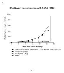 RNA FOR CANCER THERAPY