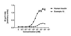 Novel Acylated Insulin Analogues and Uses Thereof