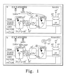 SYSTEM, METHOD, AND DEVICE FOR THE EXPRESSION OR REPRESSION OF PROTEINS