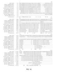 AP2 DOMAIN TRANSCRIPTION FACTOR ODP2 (OVULE DEVELOPMENT PROTEIN 2) AND METHODS OF USE