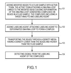 TOXIN ACTIVITY ASSAYS, DEVICES, METHODS AND SYSTEMS THEREFOR