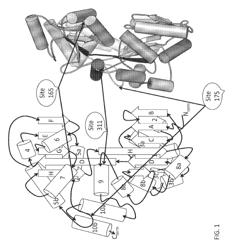 Genetically encoded biosensors