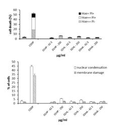 TETRAPYRROLES CONJUGATES AS MRI CONTRAST AGENT