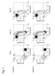 METHOD FOR PRODUCING NK CELL-ENRICHED BLOOD PREPARATION