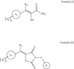 Beta lactamase inhibitors