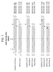 Therapeutic inhibition of lactate dehydrogenase and agents therefor