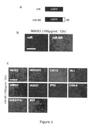 TRANSDUCTION