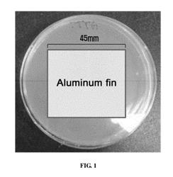 COMPOSITION FOR PREVENTING ODORS CONTAINING ORDORLESS MICROORGANISM