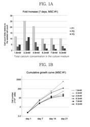 METHOD FOR CULTURING MESENCHYMAL STEM CELLS