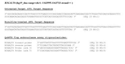 METHYLATED CONTROL DNA