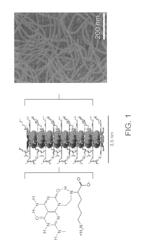 Nanotubes as carriers of nucleic acids into cells