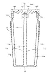 Vacuum Insulated Container for Selectively Dispensing Two Fluids of Different Temperatures