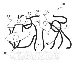 Scaffolds comprising nanoelectronic components for cells, tissues, and other applications