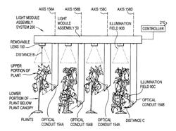 Horticultural Light Module Assembly