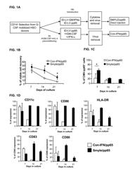 INDUCED DENDRITIC CELLS AND USES THEREOF