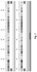 VARIANT THIOESTERASES AND METHODS OF USE