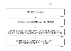 Apparatus and method for visualizing anatomical elements in a medical image