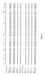 Production of antibody formats and immunological applications of said formats