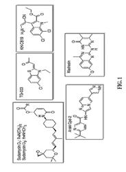 DUAL CLK/CDK1 INHIBITORS FOR CANCER TREATMENT