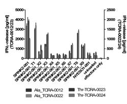 NOVEL T CELL RECEPTORS AND IMMUNE THERAPY USING THE SAME