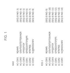 DUAL RECEPTOR ANTAGONISTIC ANTIGEN-BINDING PROTEINS AND USES THEREOF