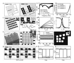 Transient devices designed to undergo programmable transformations