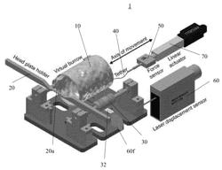 RAIL SYSTEM, AND APPARTUS AND METHOD FOR VIRTUAL BURROW ASSAY FOR A DIVERSITY OF NEUROLOGICAL AND PSYCHIATRIC DISORDERS