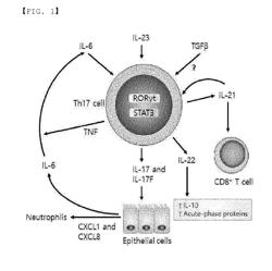 COMPOSITION FOR PREVENTING OR TREATING PSORIASIS CONTAINING MONOACETYL DIACYLGLYCEROL COMPOUND