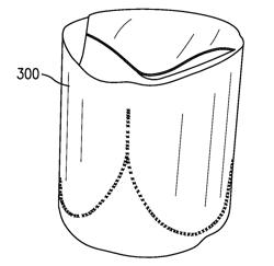 TRANSCATHETER VALVE