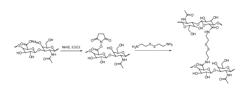 Method for Preparing Cross-Linked Hyaluronic Acid-Based Cell Scaffold Material