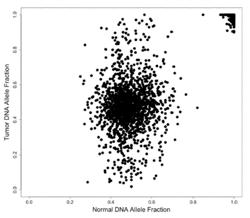 INTEGRATIVE PANOMIC APPROACH TO PHARMACOGENOMICS SCREENING