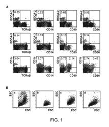 Ligating BDCA-2 protein with BDCA-2 specific antibody for detecting or modulating dendritic cells