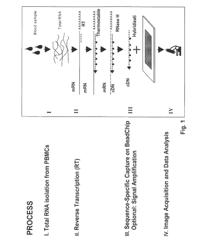 Optimization of gene expression analysis using immobilized capture probes