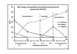 METHOD FOR SECOND GENERATION ETHANOL PRODUCTION FROM LIGNOCELLULOSIC BIOMASS