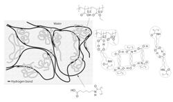 Enteric elastomers