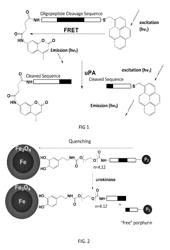 Nanosensors for detecting enzymatic activity in dairy production