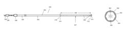 Light diffusing devices for use in photoimmunotherapy