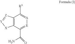 PRIMARY CARBOXAMIDES AS BTK INHIBITORS