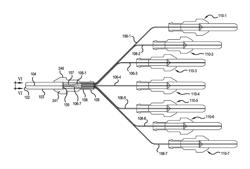 TRANSITIONING MULTI-CORE FIBER TO PLURAL SINGLE CORE FIBERS