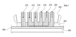 BIOMARKER QUANTIFICATION IN A TISSUE SAMPLE