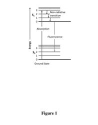 Pyrrolidone derivatives, oligomers and polymers