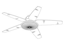 Ceiling fan