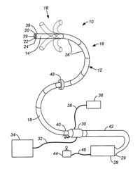 Methods and apparatus for displaying three-dimensional orientation of a steerable distal tip of an endoscope