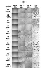 Methods of processing fetal support tissues, fetal support tissue powder products, and uses thereof