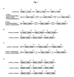 Single-chain tumor necrosis factor (TNF) ligand family molecules, fusion proteins and derivatives thereof