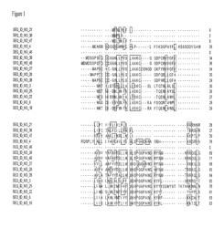 Nucleotide sequences and corresponding polypeptides conferring modified phenotype characteristics in plants