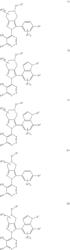 PRODRUGS OF FUSED-BICYCLIC C5aR ANTAGONISTS