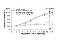 Pyridine Derivative Inhibiting RAF Kinase and Vascular Endothelial Growth Factor Receptor, Method for Preparing Same, Pharmaceutical Composition Containing Same, and Use Thereof